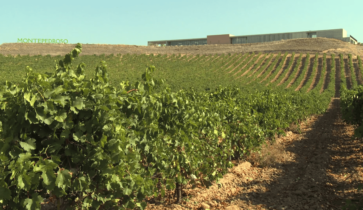 26|finca|logos|BCN-Gastronomia-Raimat-vendimia-noche